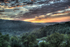 Forest Sunrise