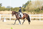 SBM_016883