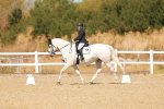 SBM_017847