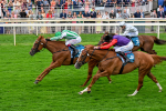 250725-Race 5-Sand Gazelle-0728