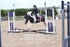 BPP_7462