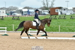 Arena A DR 16.00 to 17.00 portfolio