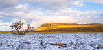 Ingleborough, Yorkshire Dales. Not yet available as greeting card.