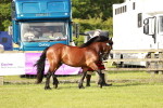 SBM_00672