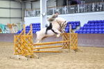 SBM_003668