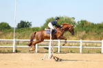SBM_008301