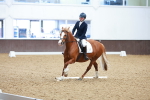 SBM_000684