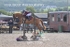 BPP_1196