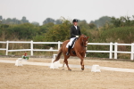 SBM_01557
