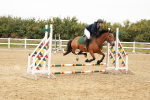 SBM_007321