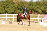 SBM_018326