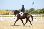 SBM_009913