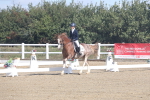 SBM_001560
