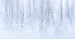 WINTER REFLECTIONS, OLD CUT, 2019 - LONG POINT