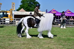 SBM_19378