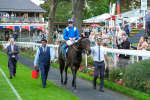 080925-Race 5-Elmonjed-9479