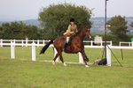 Working Hunter Championship portfolio