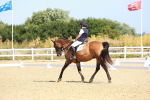 SBM_009606