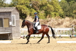 SBM_001561