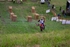 DSCF4328