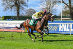 180426-Race 2-Inishbeg-9426