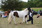 WJ6_5582