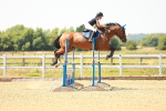 Class 5 - Senior Foxhunter - 1.20m portfolio
