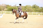 SBM_007994