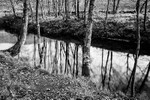 White Coppice 001