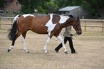 WJ6_7888