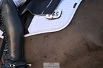 Cls 17 FEI Grand Prix 16-25 portfolio