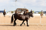 SBM_10955