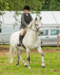 Dunblane show-118