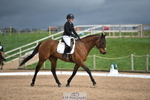 Arena B DR 13.00 to 14.00 portfolio