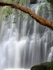 Matai Falls, Catlins