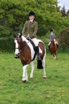Gwennap Riding Club Show 04 May 2025 portfolio