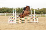 SBM_008446