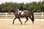 SBM_008604