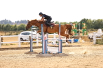 SBM_001675