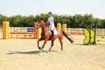 Class 1 - Clear Round portfolio