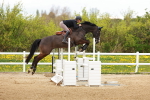 SBM_002780