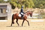 SBM_001501
