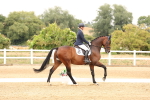 SBM_001834