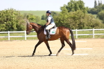 SBM_008197