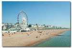 Brighton Beach