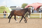SBM_07903