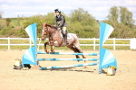 SBM_002642