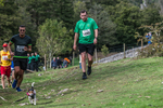 Dovedale-1343