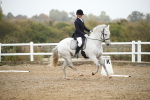 SBM_001262