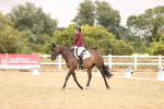 SBM_003147